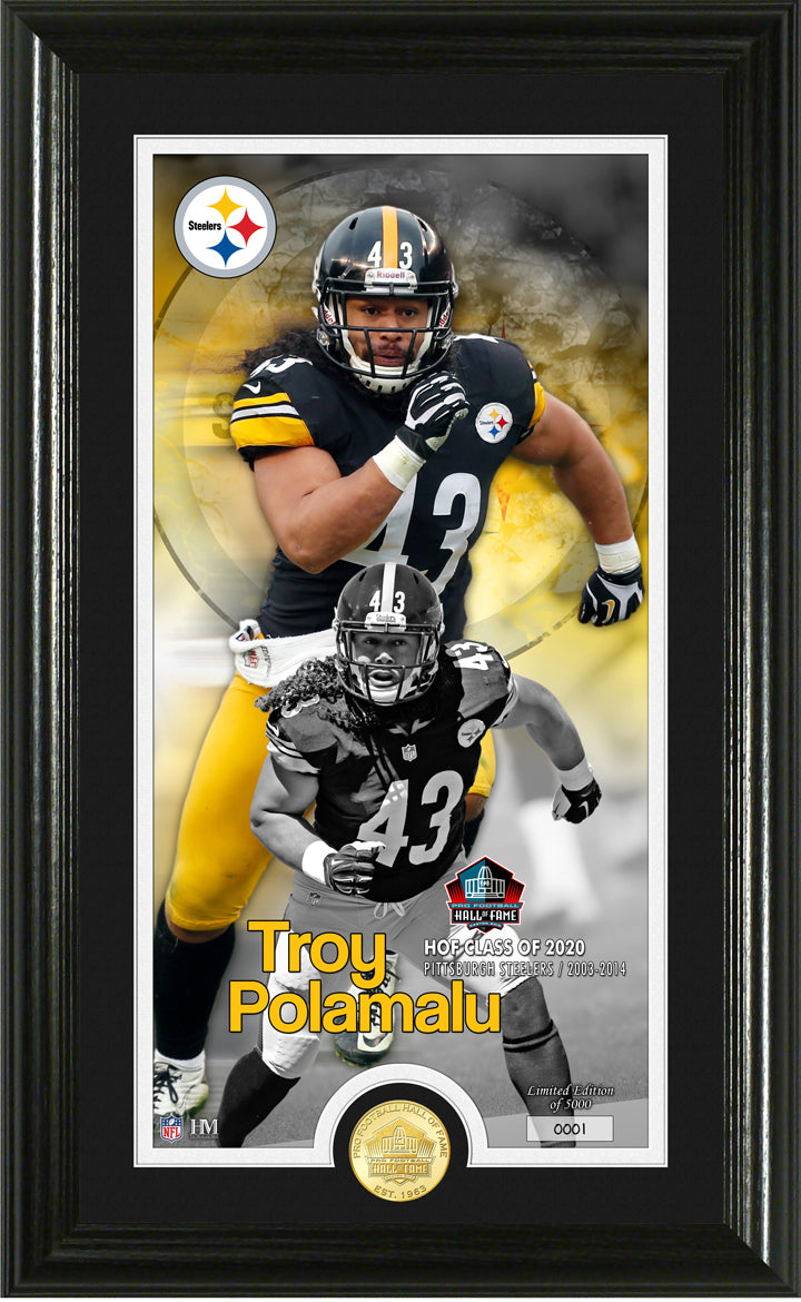 Highland Mint Troy Polamalu 2020 Hall of Fame Bronze Coin Photo Mint - Limited Edition /5,000