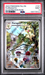 2023 Pokemon Scarlet and Violet Paldea Evolved Illustration Rare Floragato #197 PSA 9