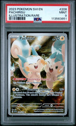 2023 Pokemon Scarlet and Violet Illustration Rare Pachirisu #208 /198 PSA 9