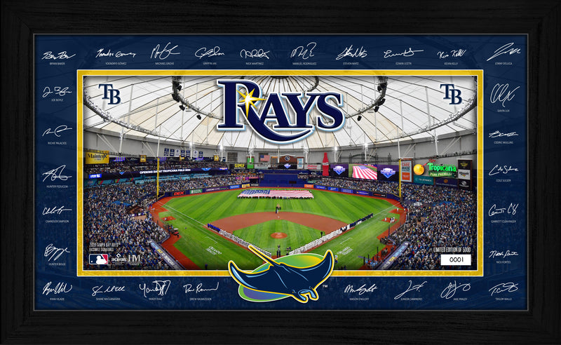 Highland Mint Tampa Bay Rays 2026 Signature Field Frame - Limited Edition /5,000