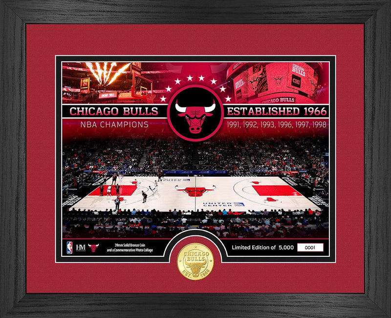 Highland Mint Chicago Bulls Bronze Coin Court Photo Mint - Limited Edition /5,000