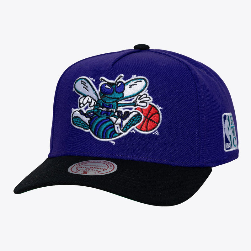 Mitchell & Ness Charlotte Hornets Purple/Black Hardwood Classics Legendary Home Pro Pinch Snapback Hat