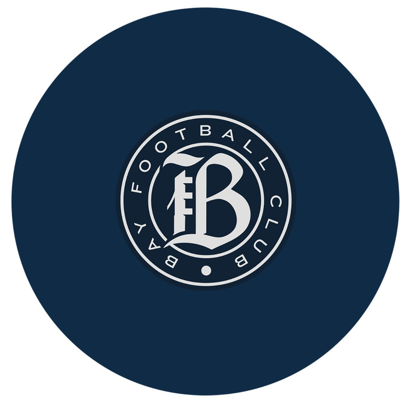 Franklin Sports NWSL Bay FC High Bounce Ball