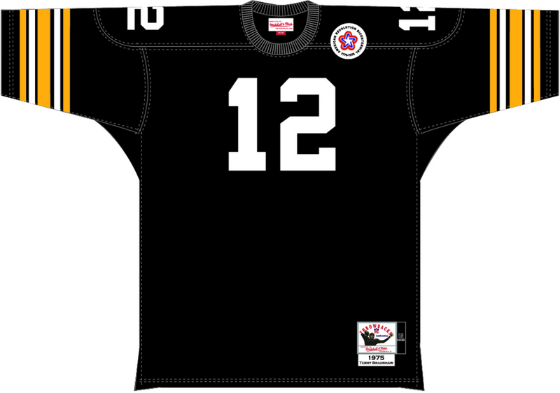 Mitchell & Ness Terry Bradshaw Pittsburgh Steelers 1975 Black Authentic Jersey
