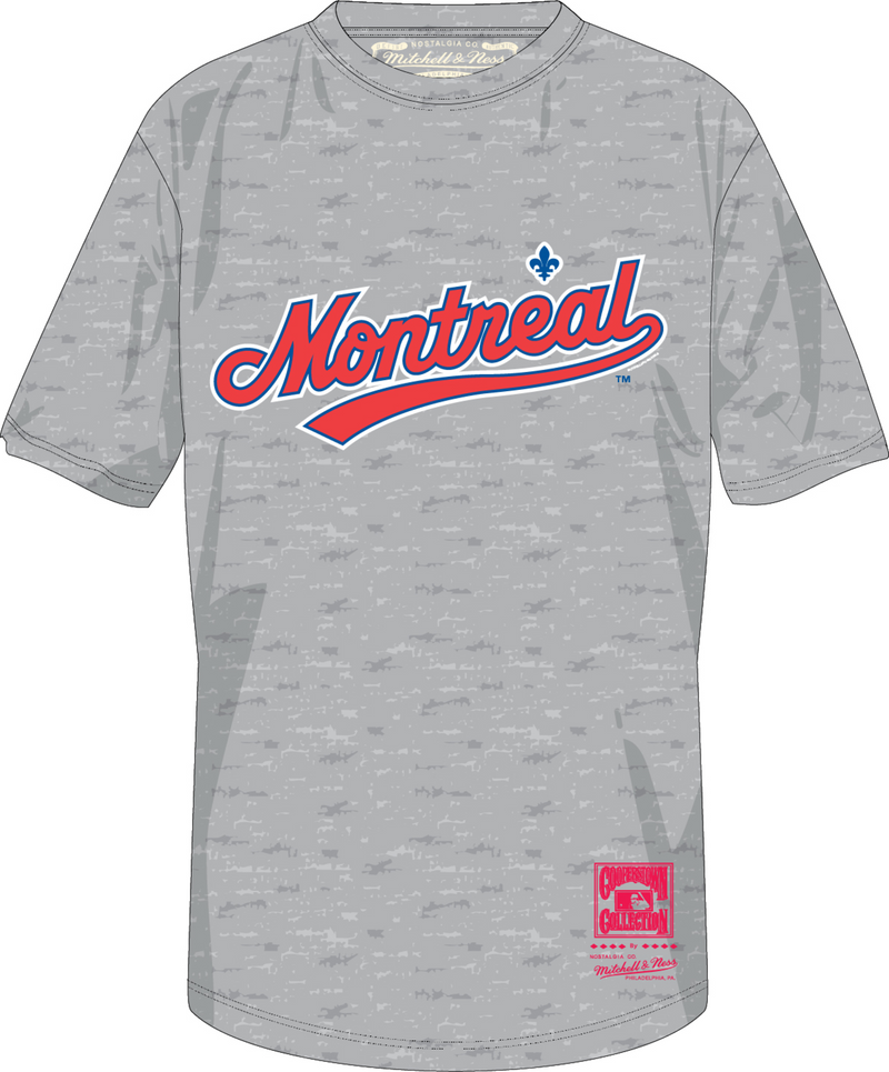 Mitchell & Ness Montreal Expos Grey Heather Wordmark 1 T-Shirt