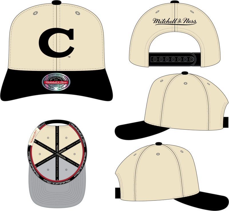 Mitchell & Ness Clemson Tigers Cream/Black Ivory Stretch Snapback Hat