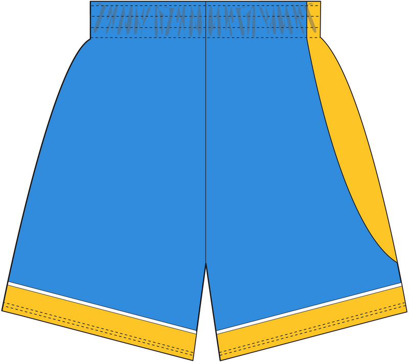 Mitchell & Ness Southern University and A&M College 2005 Columbia Blue Shorts