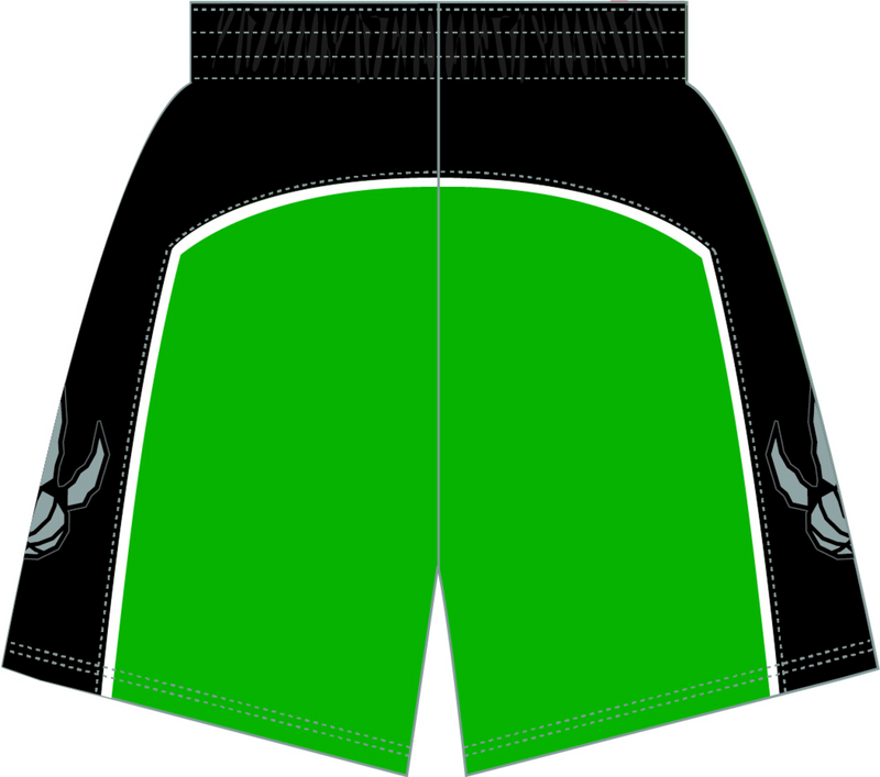 Mitchell & Ness Toronto Raptors 2007 Green Alternate Shorts