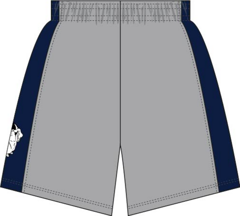 Mitchell & Ness Georgetown University Hoyas 1990 Chrome Light Shorts
