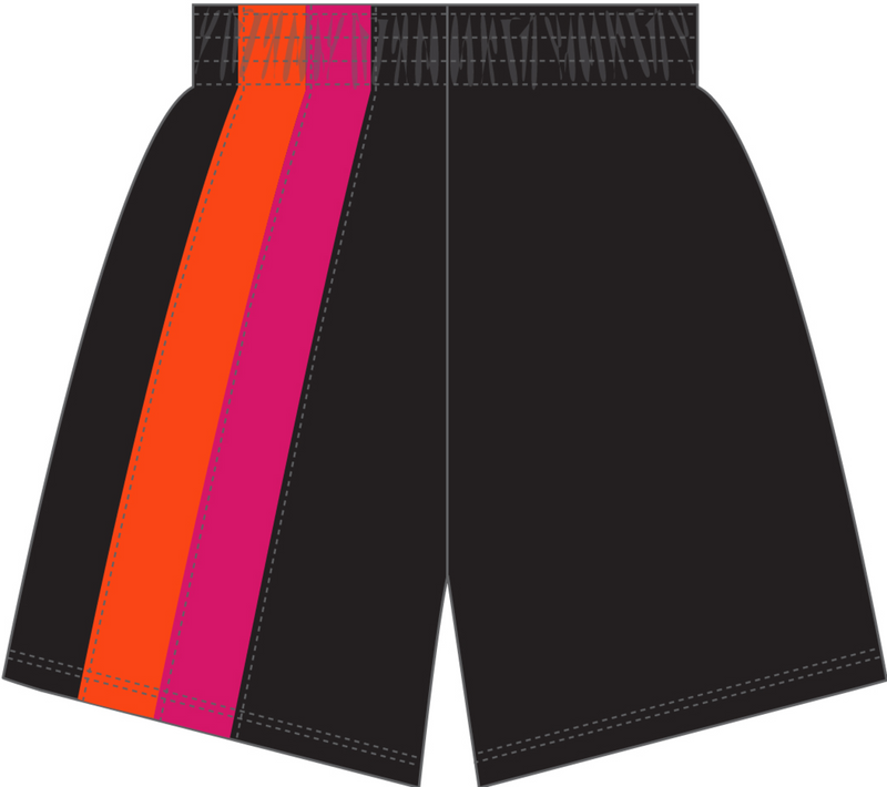 Mitchell & Ness Miami Heat 2005 Black Swingman Shorts