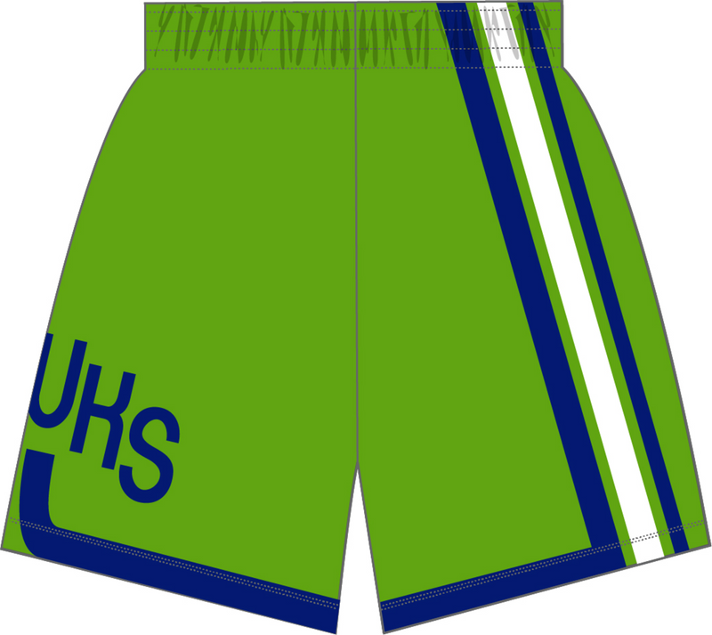 Mitchell & Ness Atlanta Hawks 1970 Rays Green Swingman Shorts