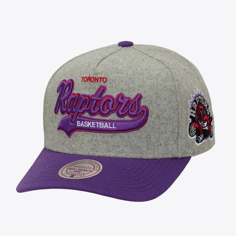 Mitchell & Ness Toronto Raptors Heather Gray Hardwood Classics Tailsweep Pro Pinch Snapback Hat