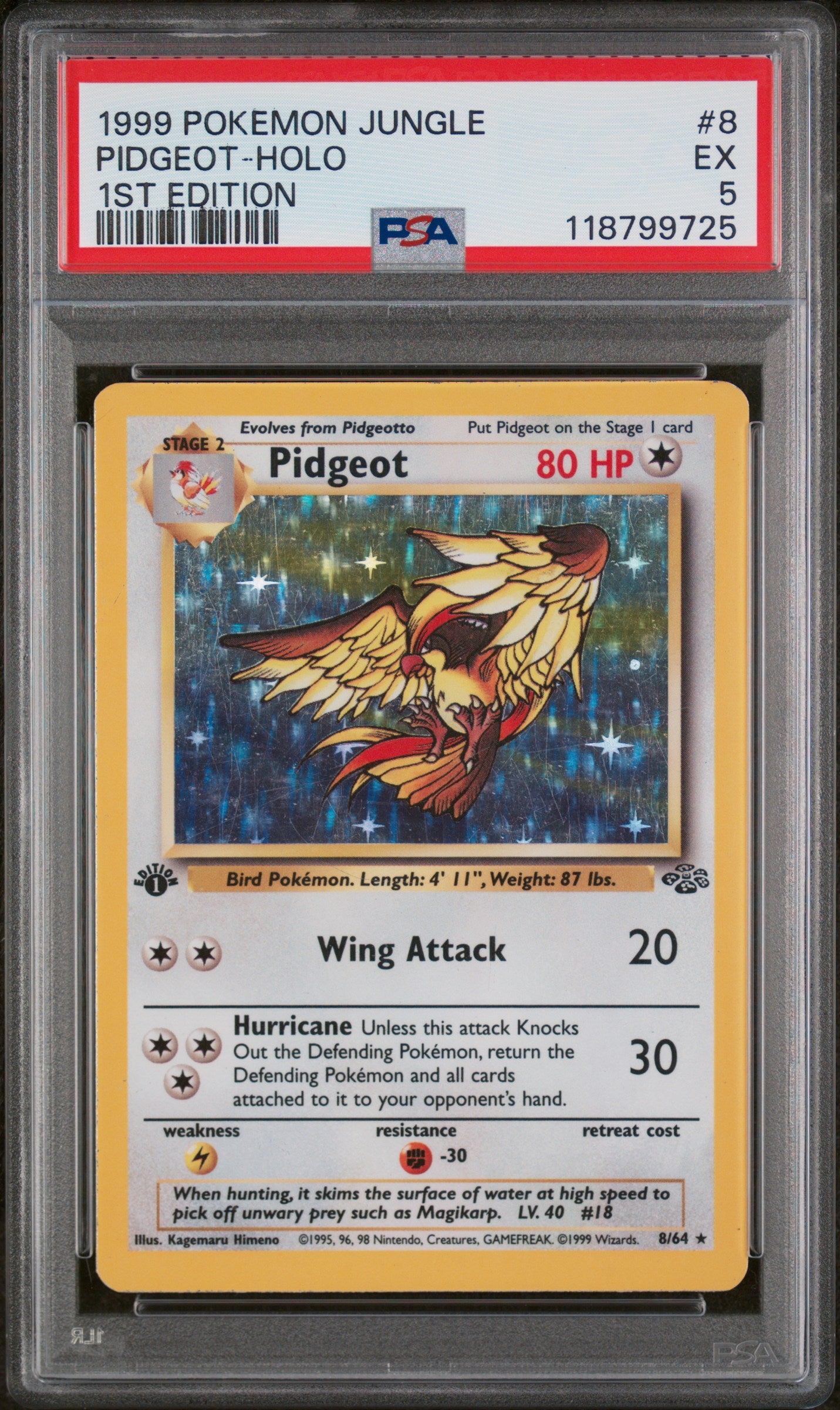 1999 Pokemon Jungle 1st Edition Holo Pidgeot #8 PSA 5