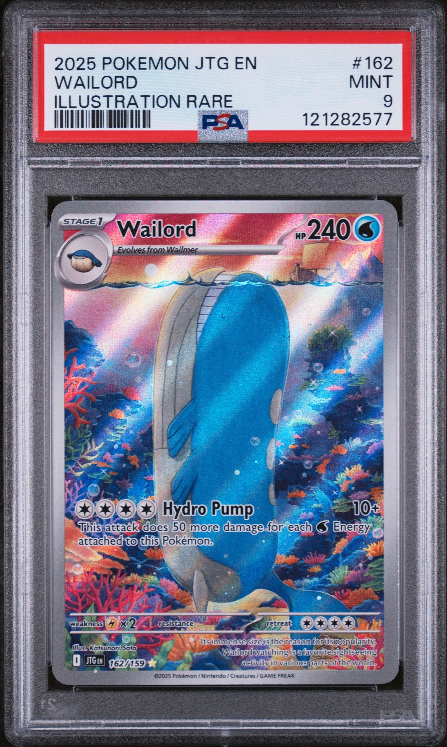 2025 Pokémon Illustration Rare Wailord #162/159 Holo PSA 9