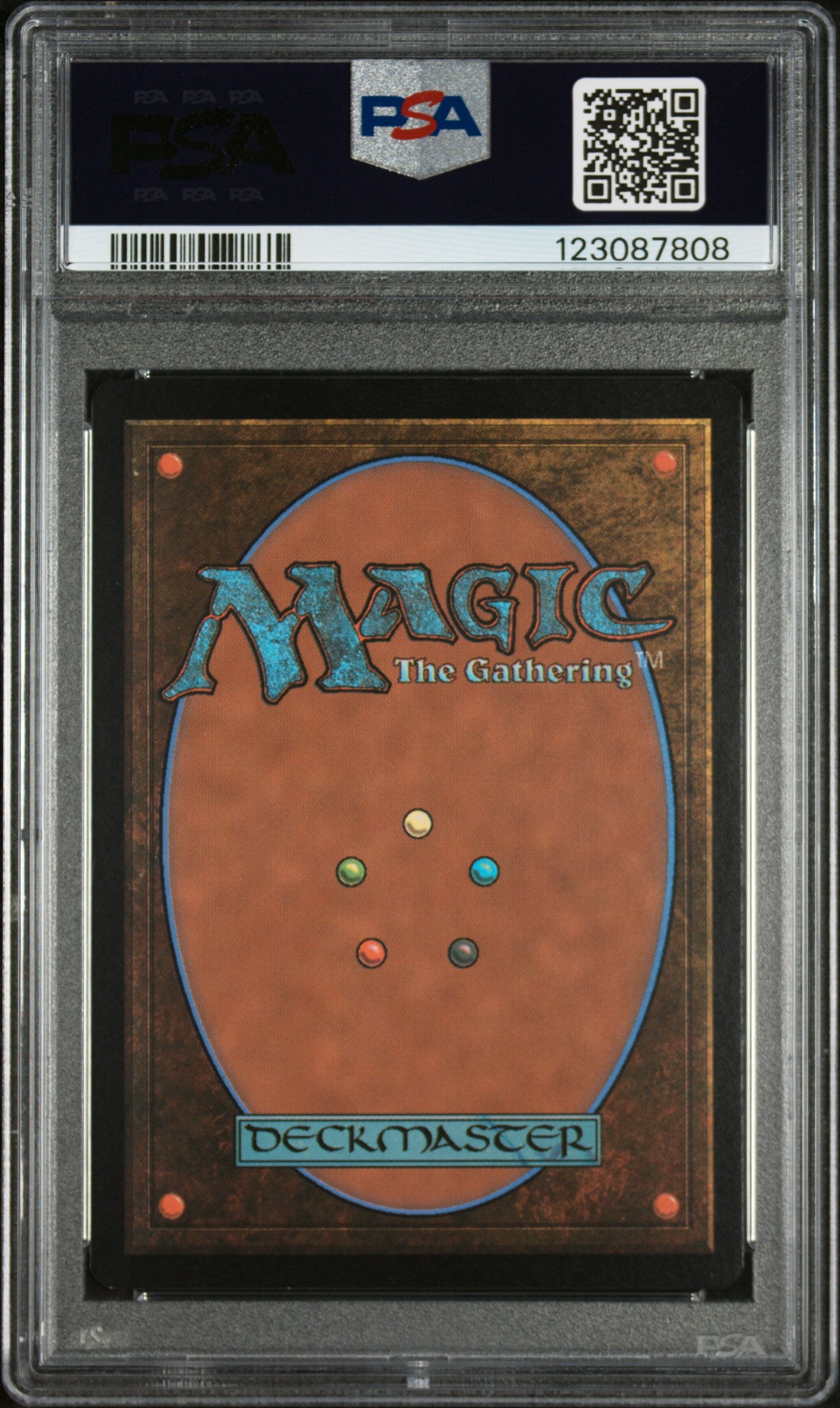 2025 Magic the Gathering Final Fantasy Traveling Chocobo #0210 PSA 9
