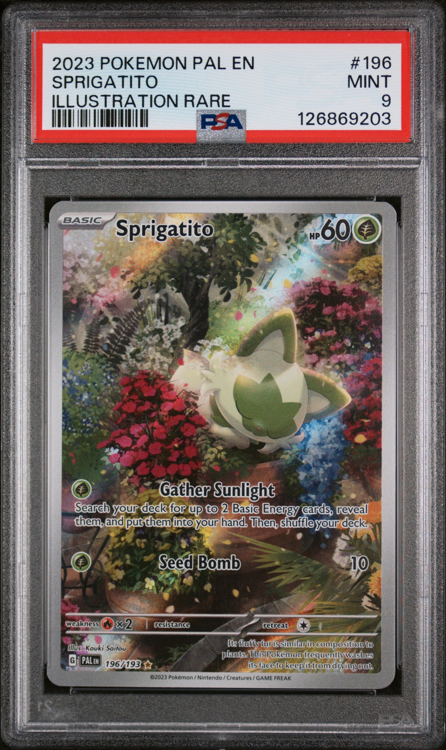 2023 Pokemon Scarlet and Violet Paldea Evolved Illustration Rare Sprigatito #196 PSA 9