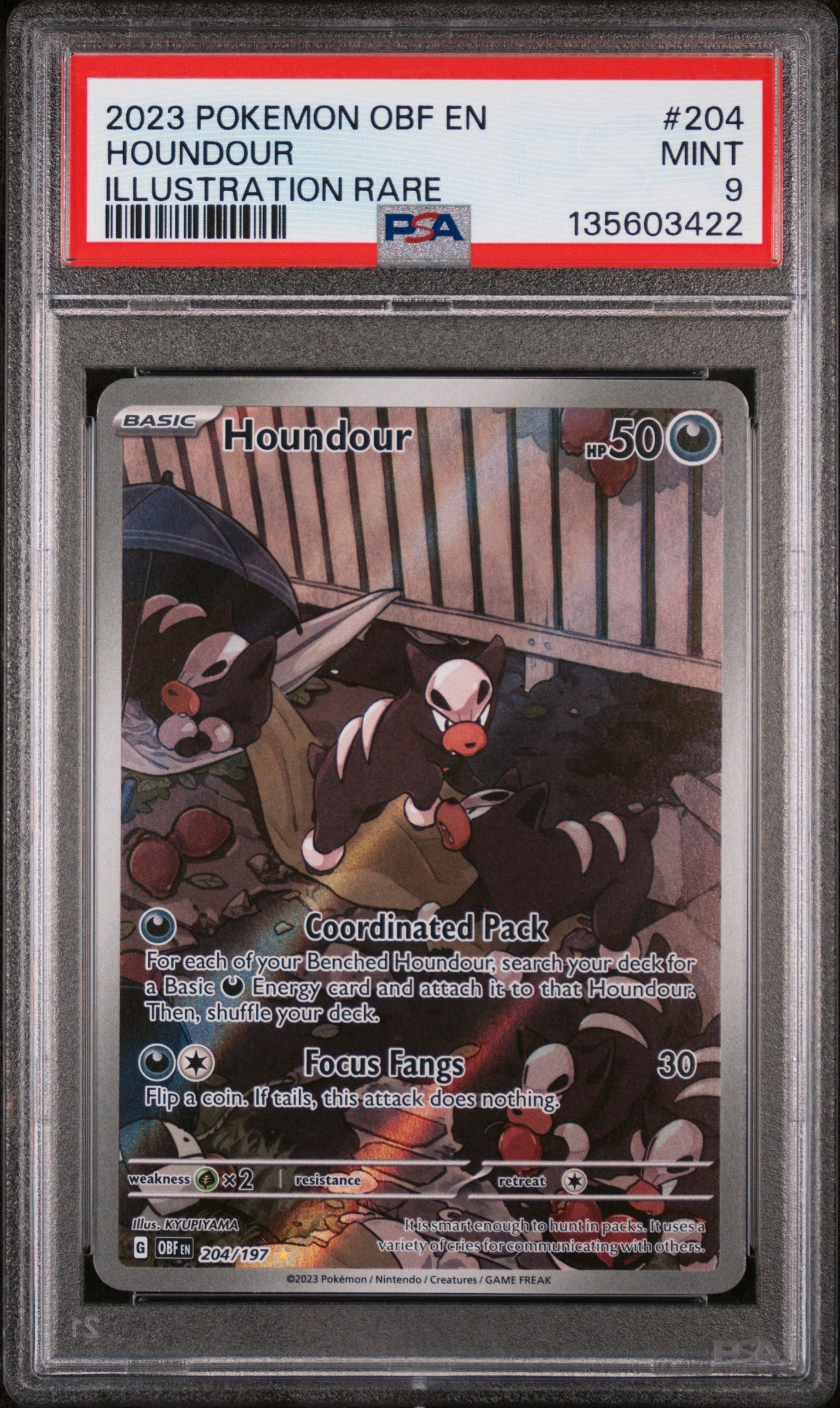 2023 Pokemon Scarlet and Violet Obsidian Flames Illustration Rare Houndour #204 PSA 9