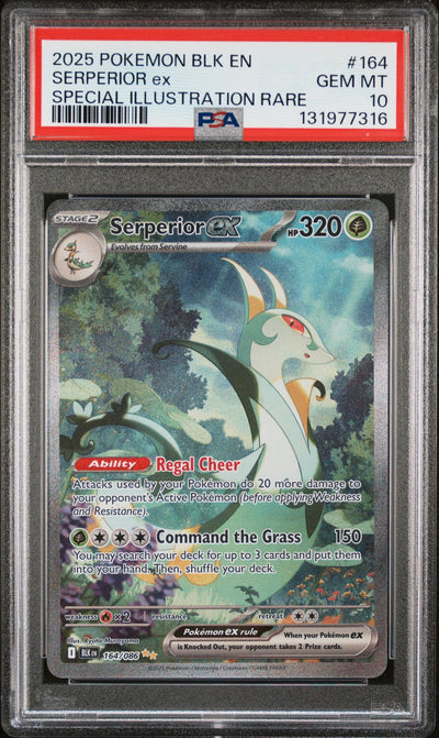 Pokémon 2025 Serperior ex #164/086 Special Illustration Rare PSA 10
