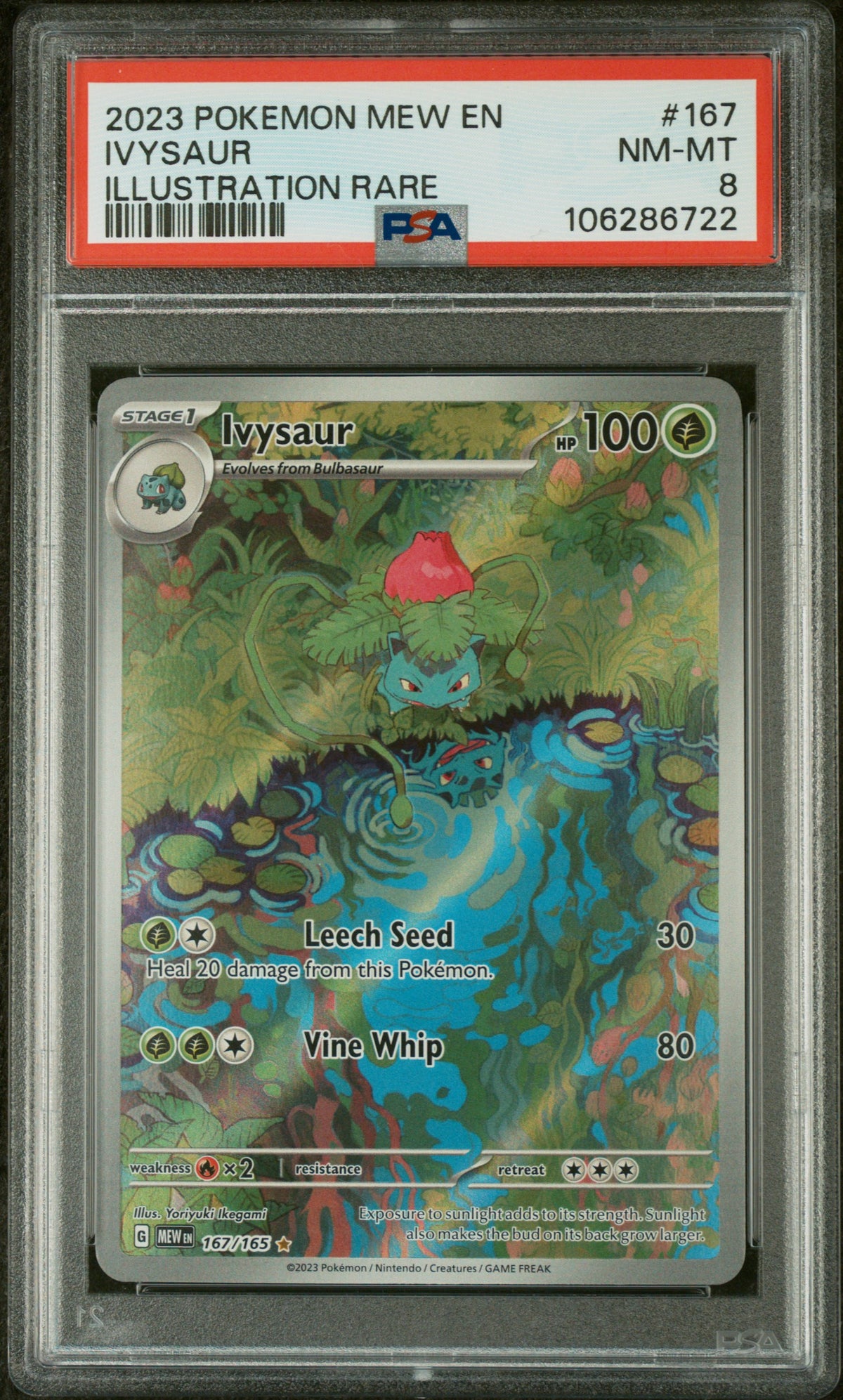 2023 Pokemon Scarlet and Violet Mew 151 Illustration Rare Ivysaur #167 PSA 8