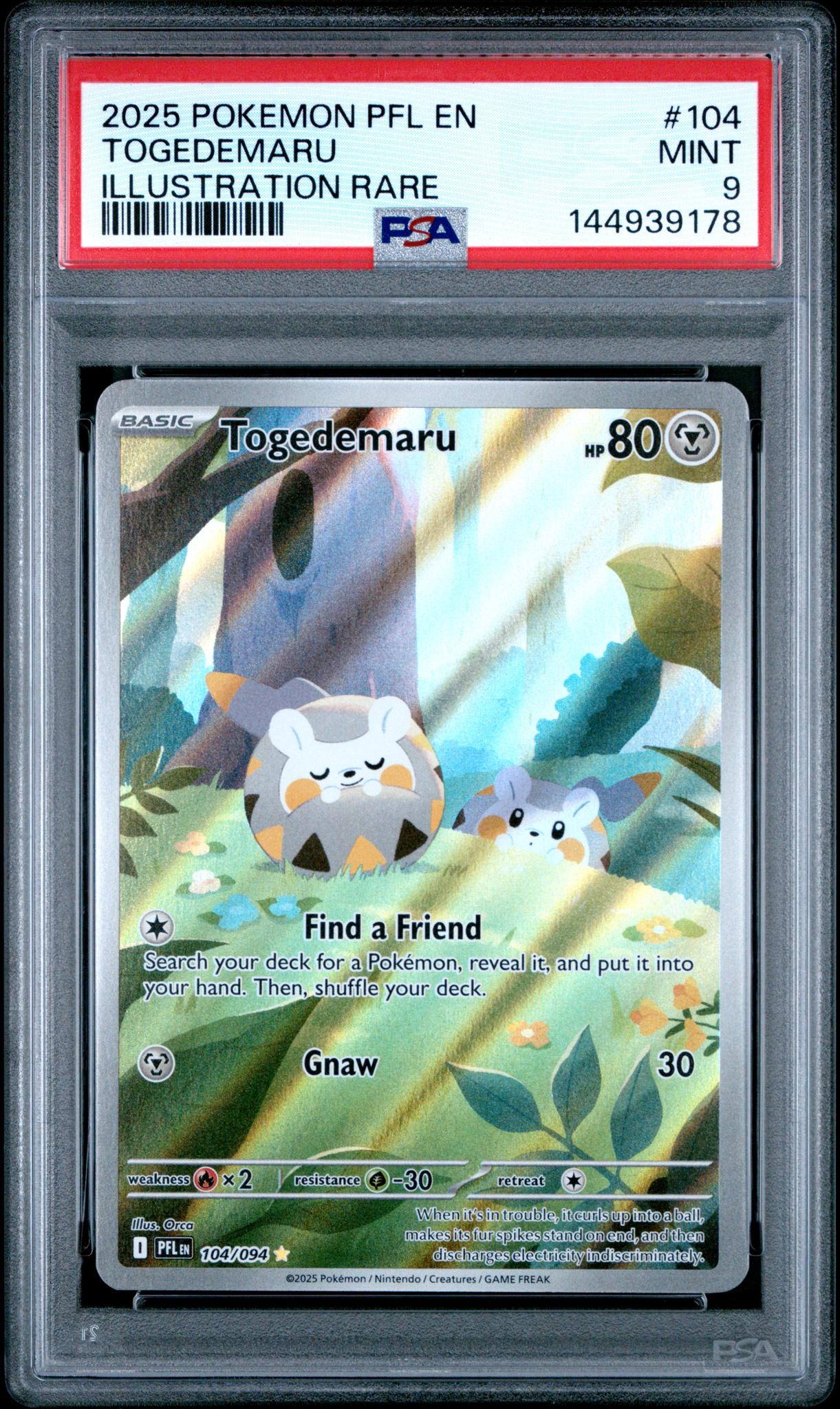 2025 Pokemon Phantasmal Flames Illustration Rare Togedemaru #104 PSA 9