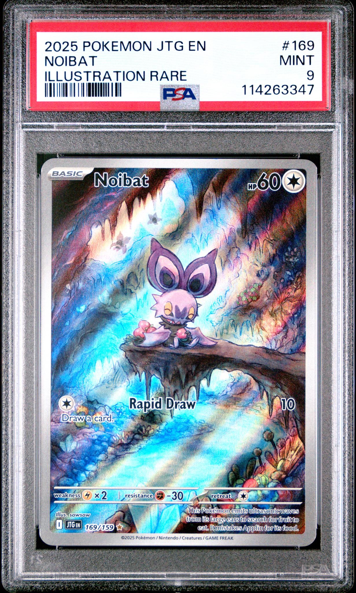 2025 Pokemon Scarlet and Violet Journey Together Illustration Rare Noibat #169 PSA 9