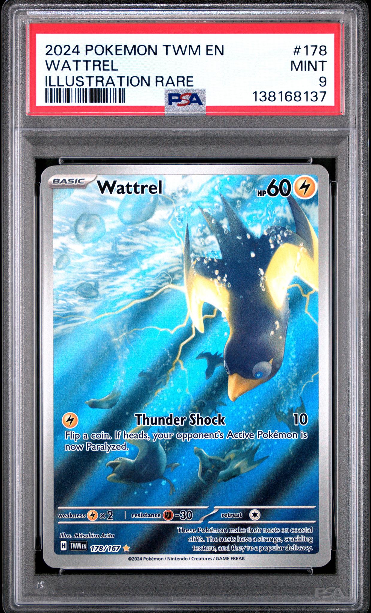 2024 Pokemon Scarlet and Violet Twilight Masquerade Illustration Rare Wattrel #178 PSA 9