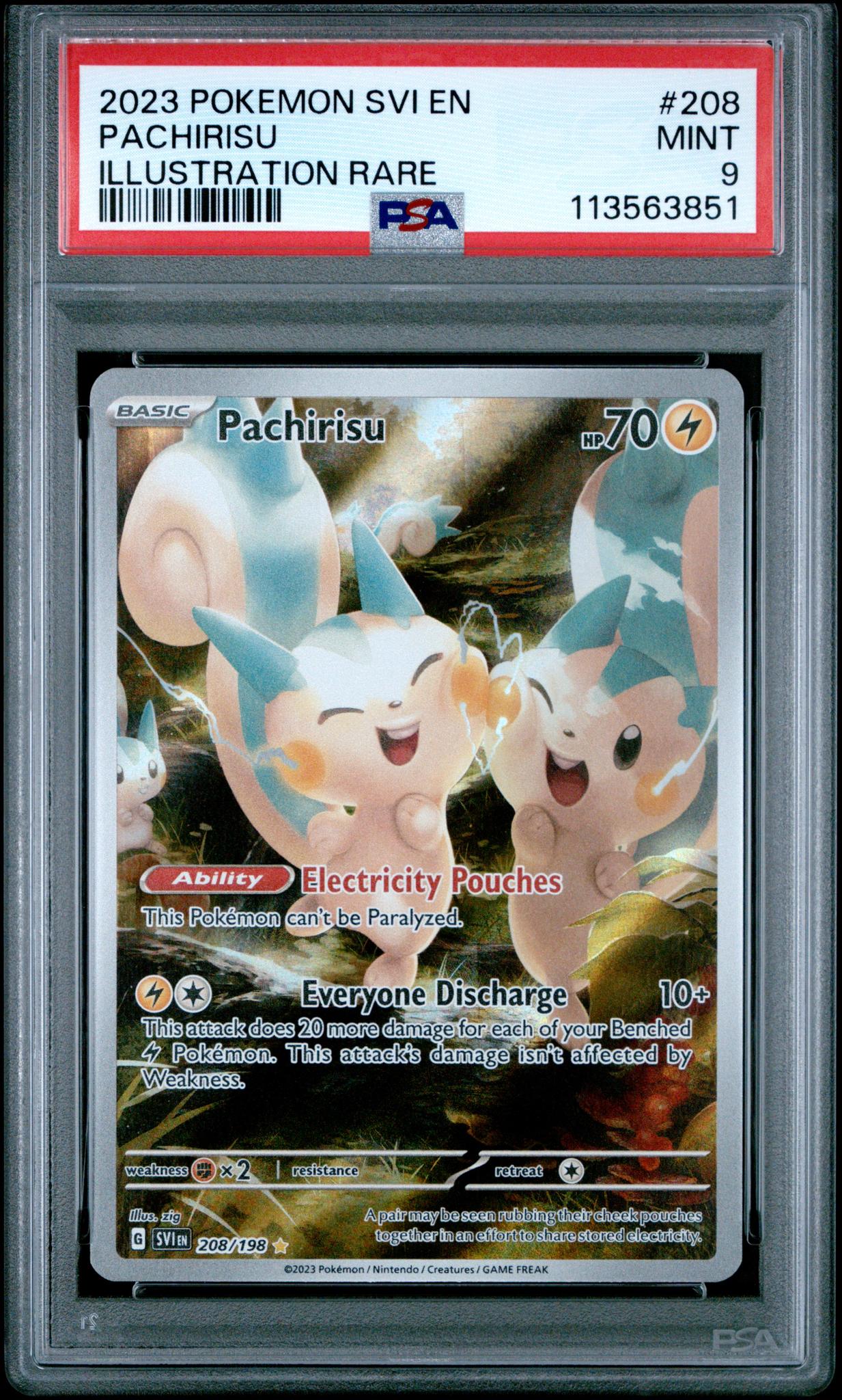 2023 Pokemon Scarlet and Violet Illustration Rare Pachirisu #208 /198 PSA 9