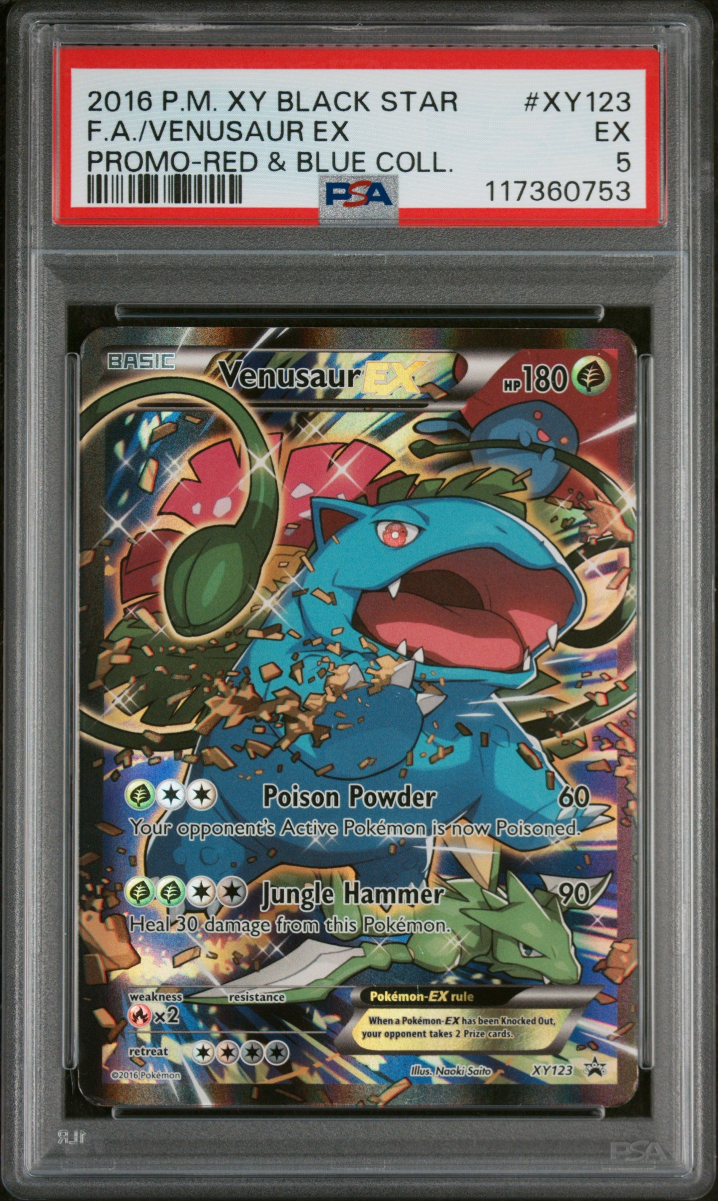 2014 Pokemon XY Black Star Promo Red and Blue Collection Venusaur Ex #XY123 PSA 5