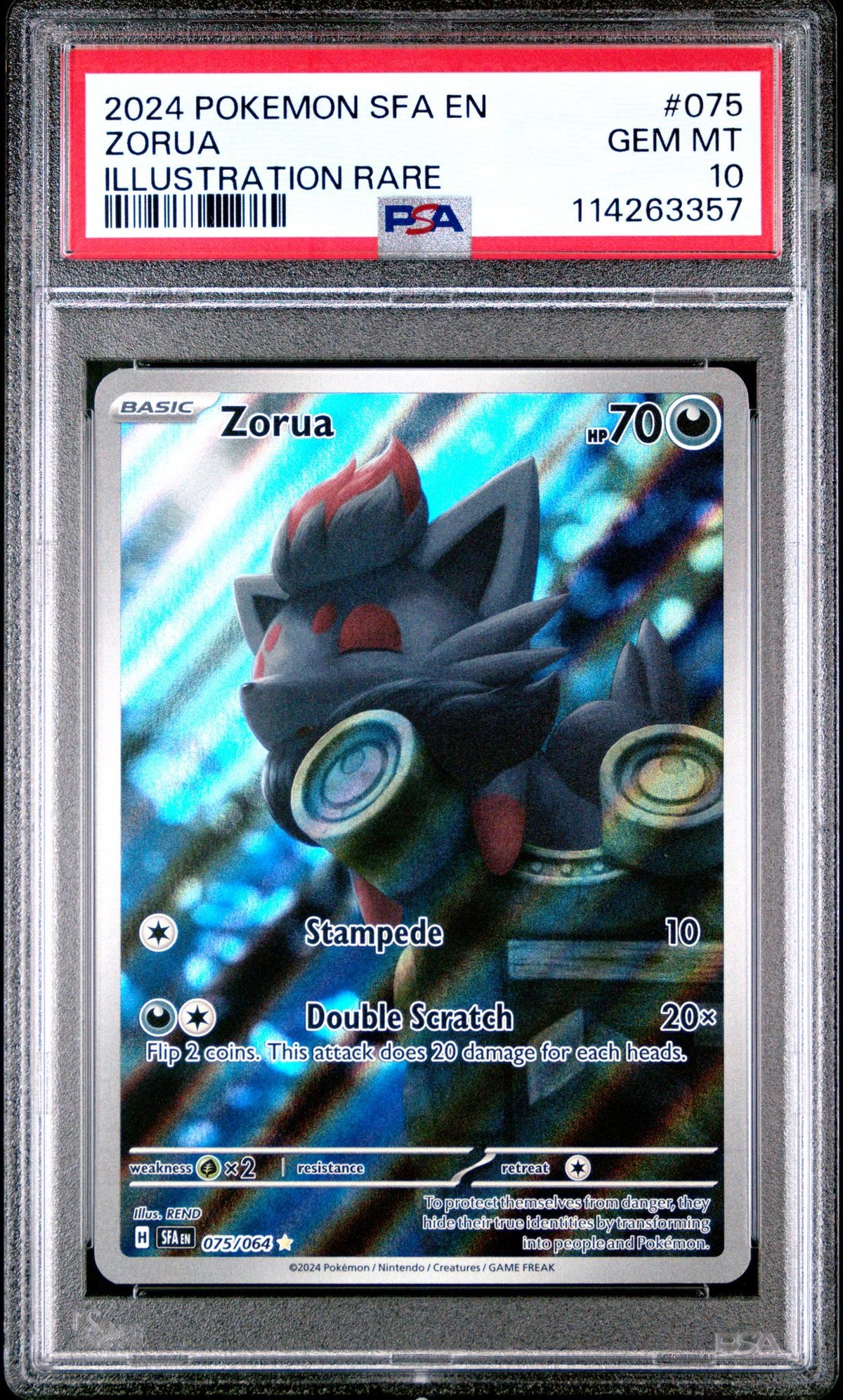 2024 Pokemon Scarlet and Violet Shrouded Fable Illustration Rare Zorua #075 PSA 10