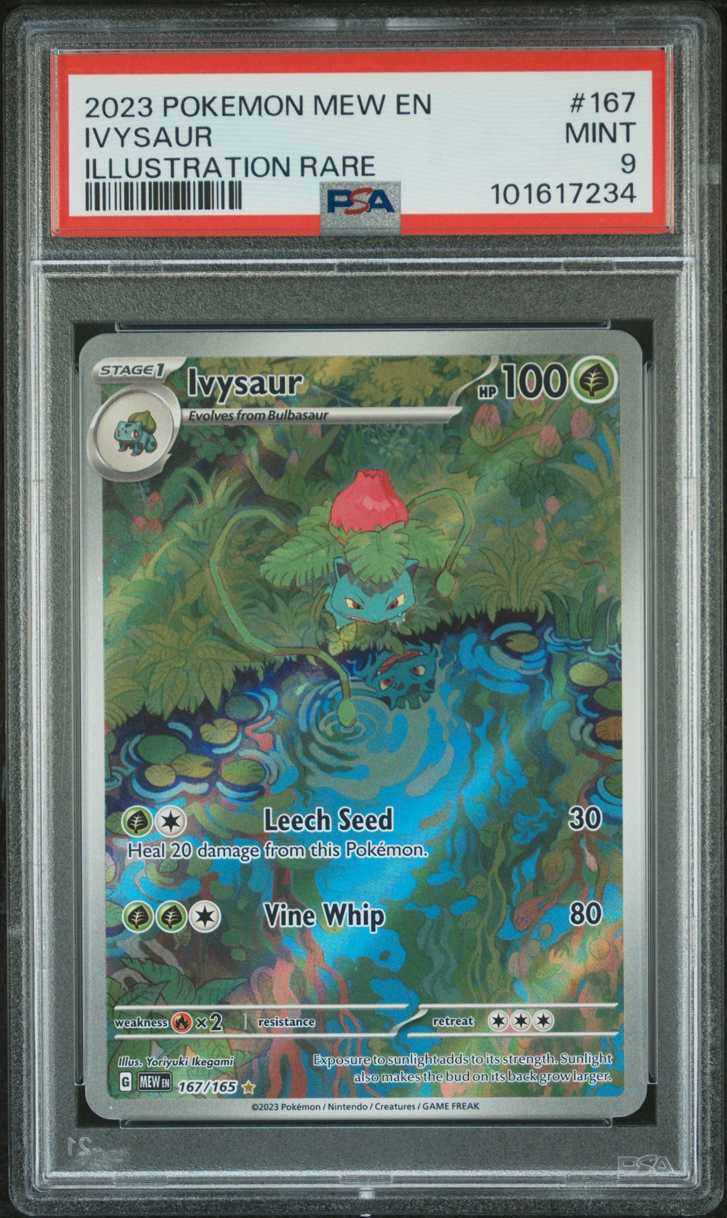 2023 Pokemon Scarlet and Violet 151 Illustration Rare Ivysaur #167 PSA 9