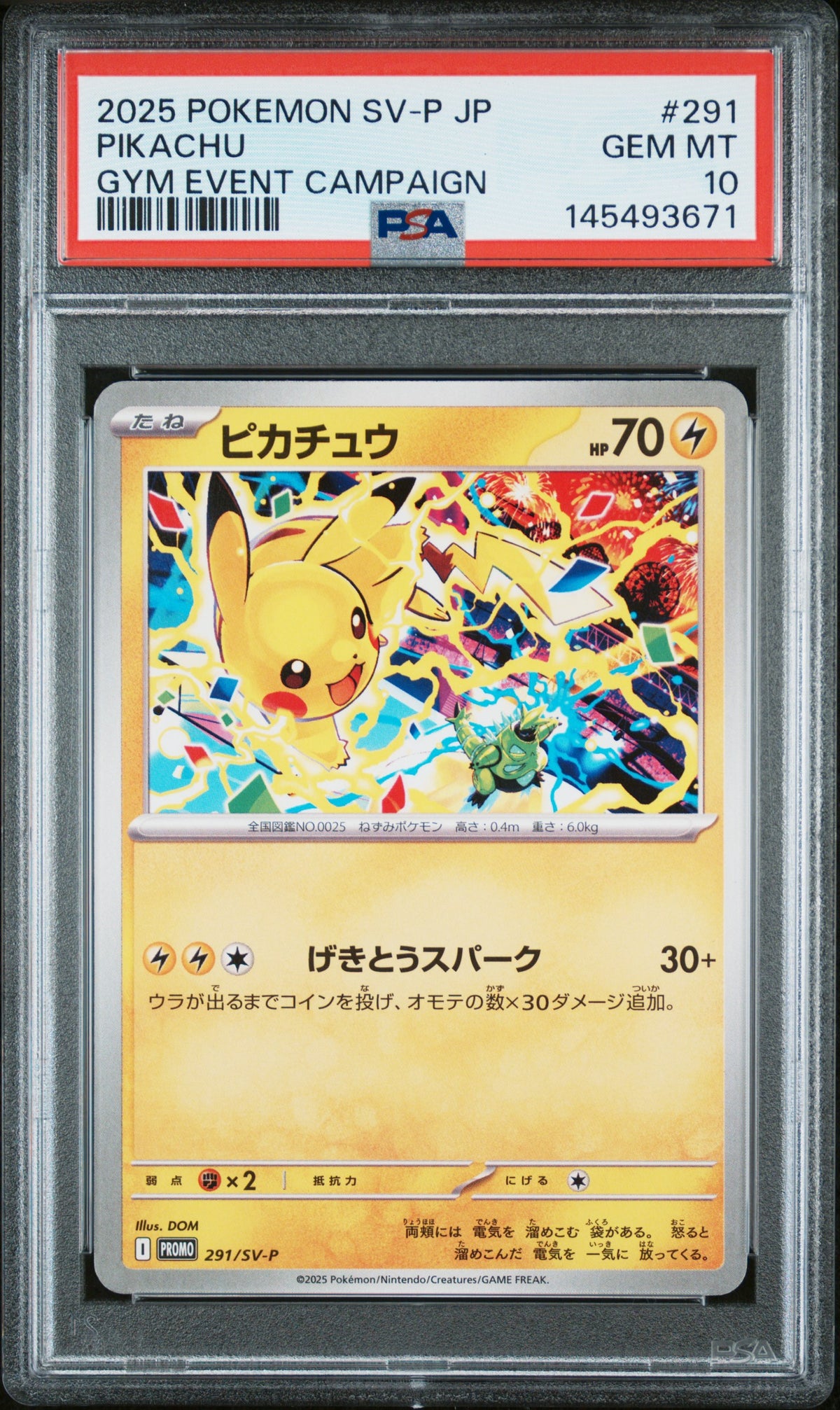 2025 Pokemon Scarlet and Violet Promo Japanese Gym Event Participation Pikachu #291 PSA 10