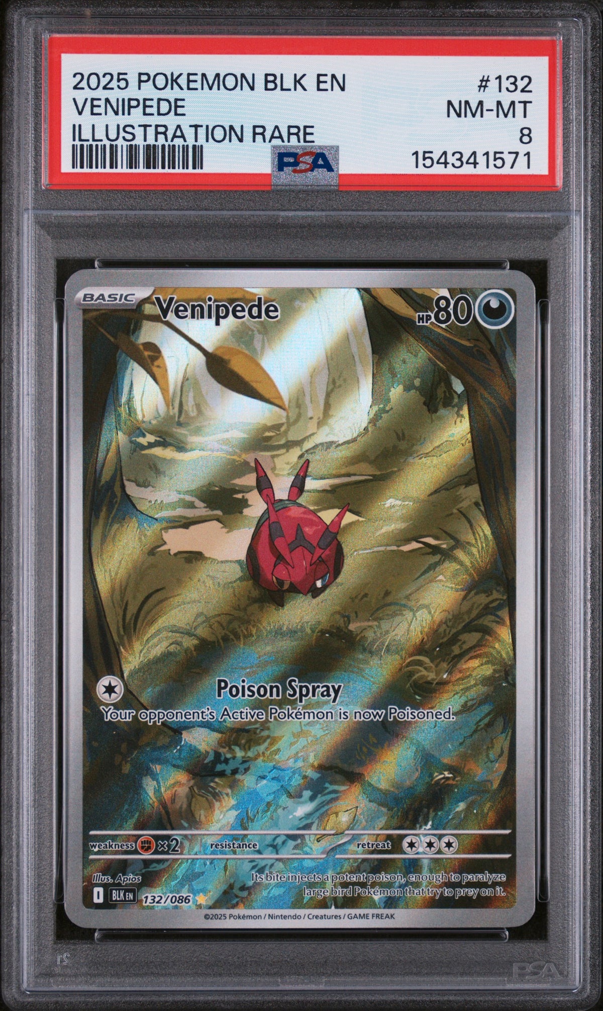 2025 Black Bolt - Blk En - English Illustration Rare Holo Venipede #132 PSA 8