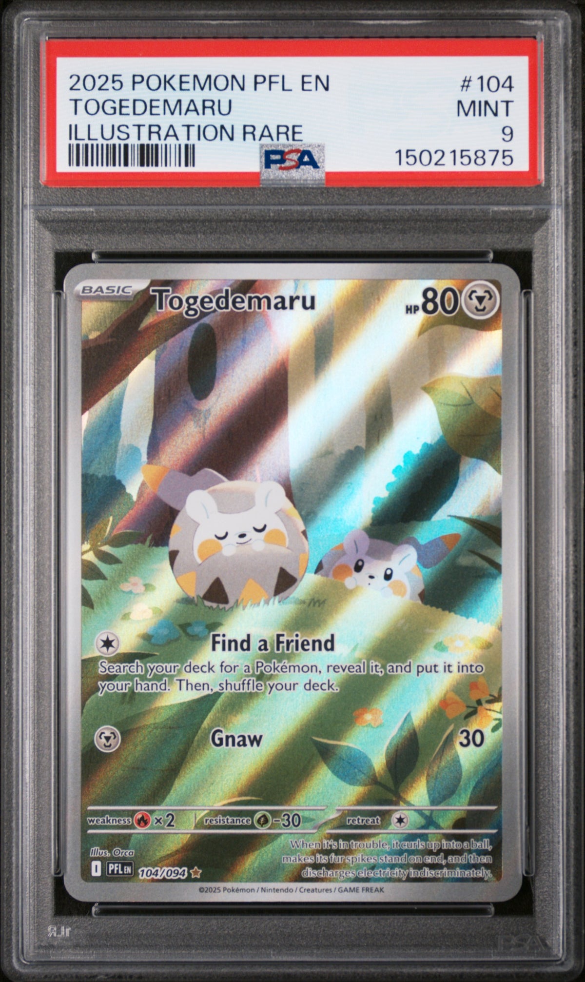 2025 Pokemon Phantasmal Flames Illustration Rare Togedemaru #104 PSA 9