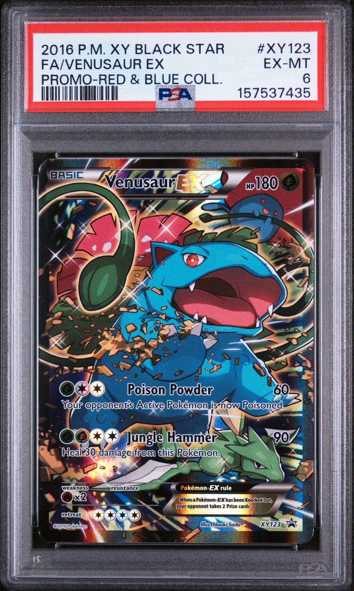 2016 Pokemon XY Black Star Promo Red and Blue Collection Venusaur Ex #XY123 PSA 6