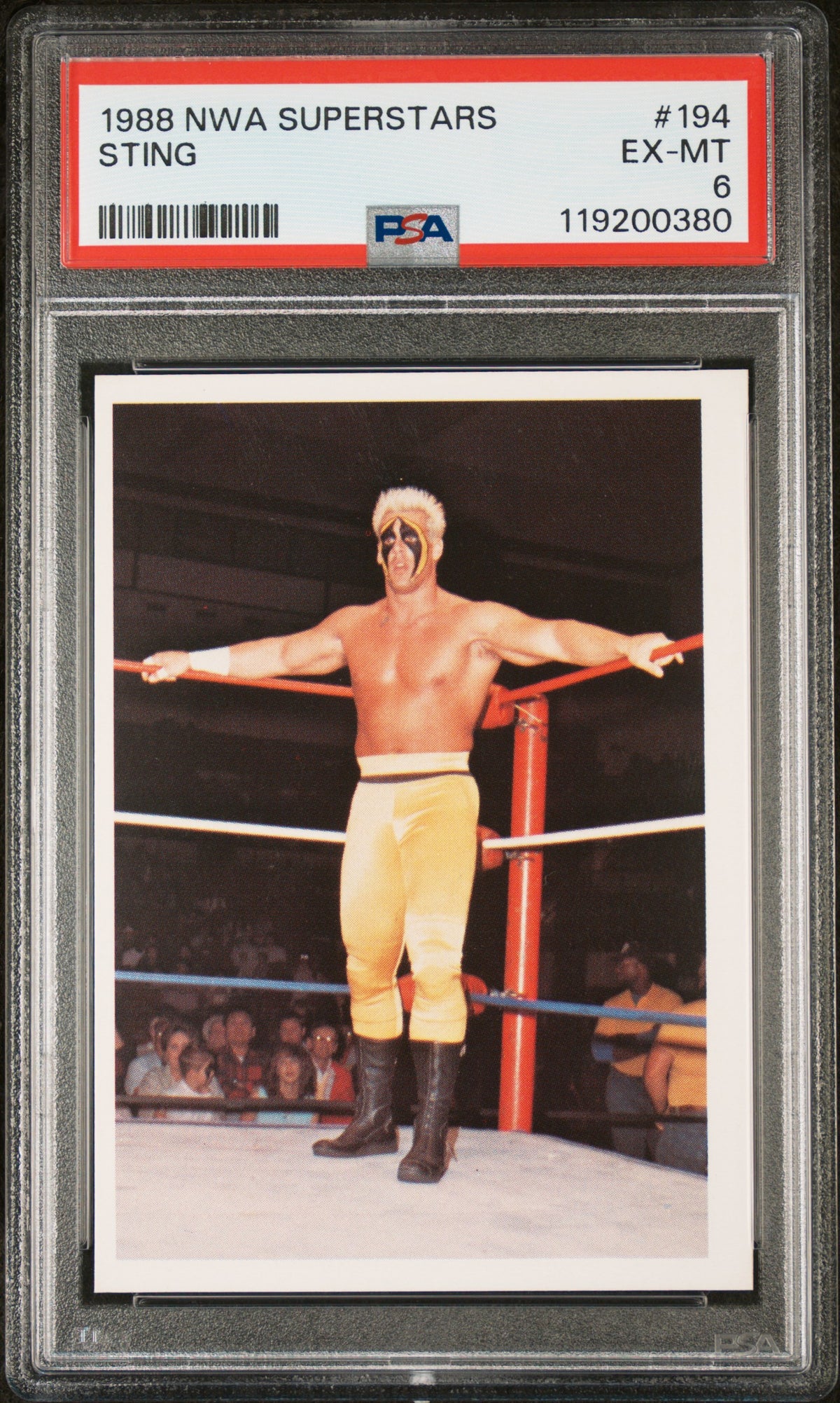 1988 Wonderama Nwa Sting #194 PSA 6