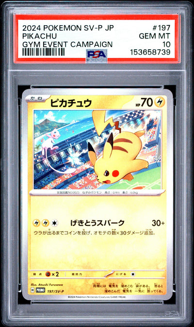 2024 Pokemon Scarlet and Violet Promo Japanese Gym Event Campaign Pikachu #197SVP PSA 10