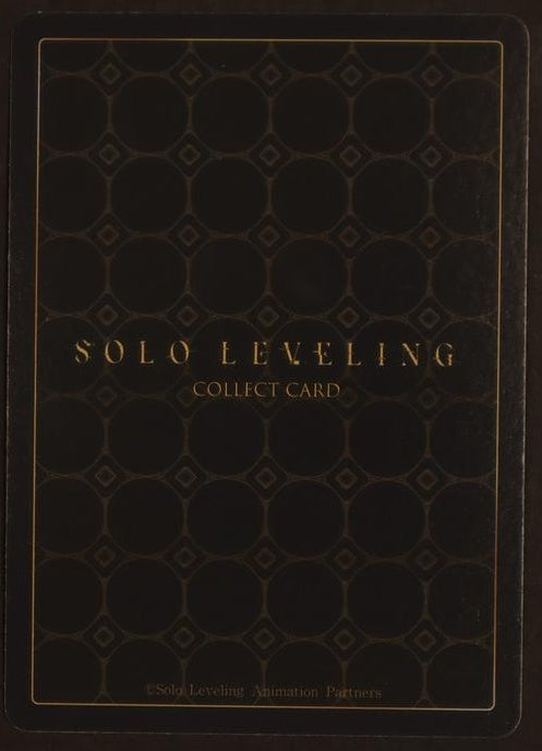 Yoo Jinho UR* SL1E-085 Mapniverse Solo Leveling Holo Foil Anime Card