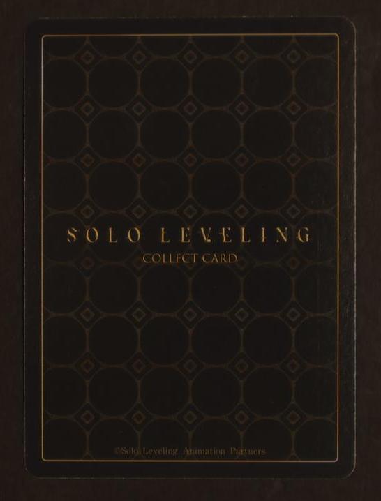 Solo Leveling *UR SL1E-087 BAEK YOONHO