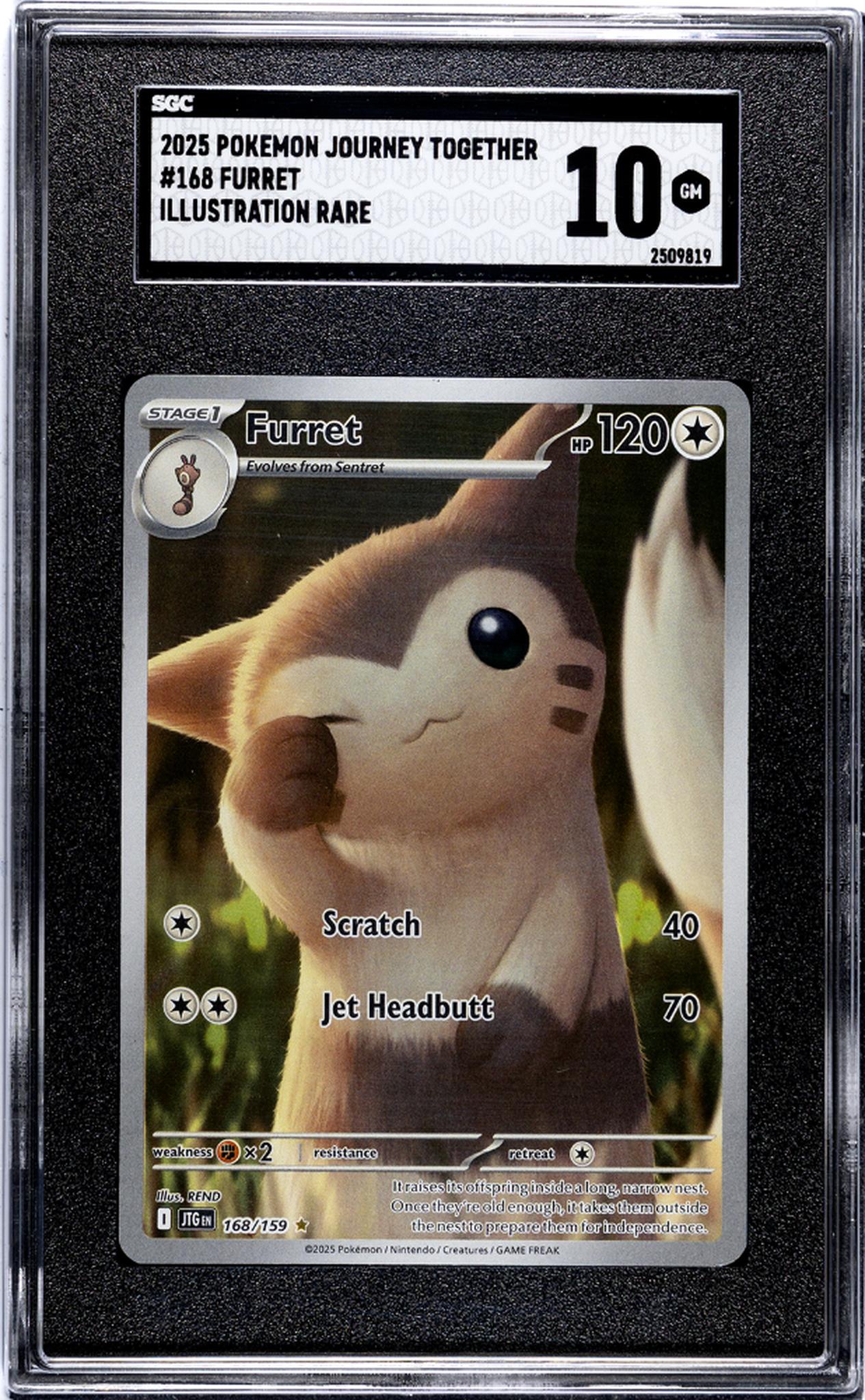 2025 Pokemon #168/159 Furret Journey Together SGC 10
