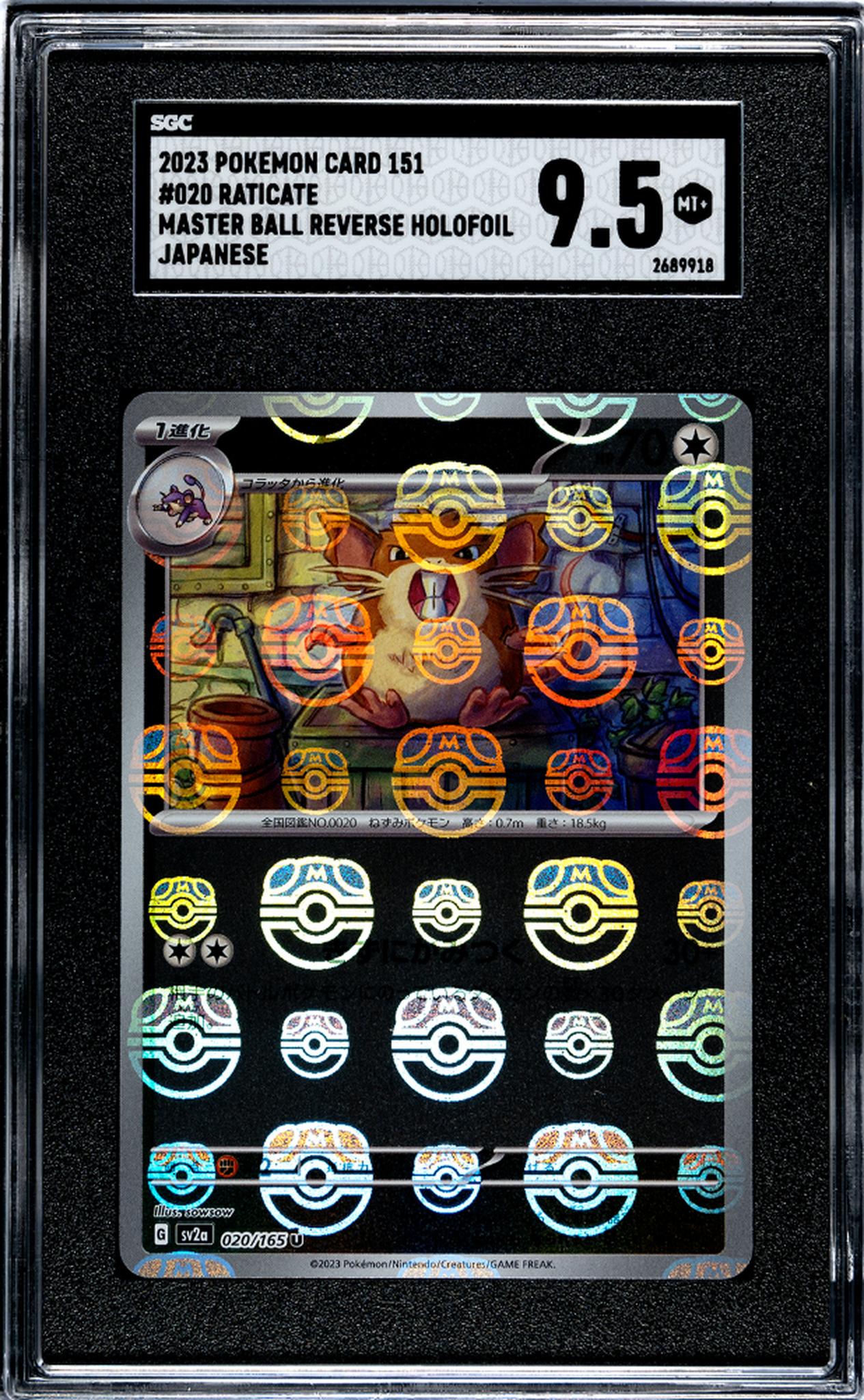 2023 Pokémon Scarlet & Violet 151 Master Ball Japanese Raticate #020/165 SGC 9.5