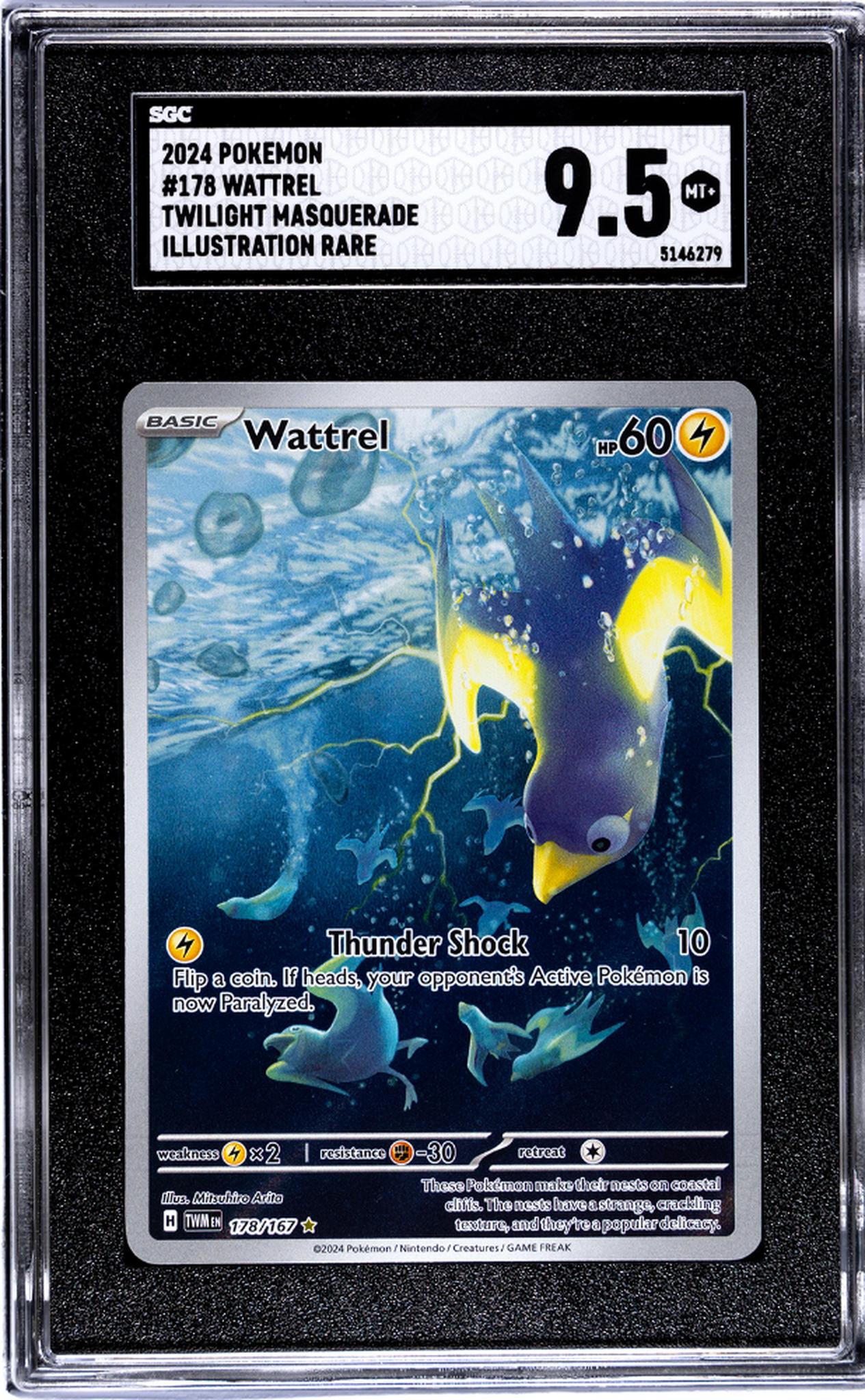 2024 Pokemon Twilight Masquerade Illustration Rare Wattrel #178 SGC 9.5