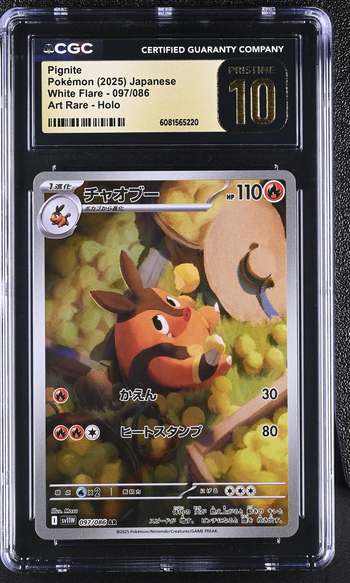 2025 Pokemon White Flare Art Rare Pignite #097/086 Japanese Holo CGC Pristine 10