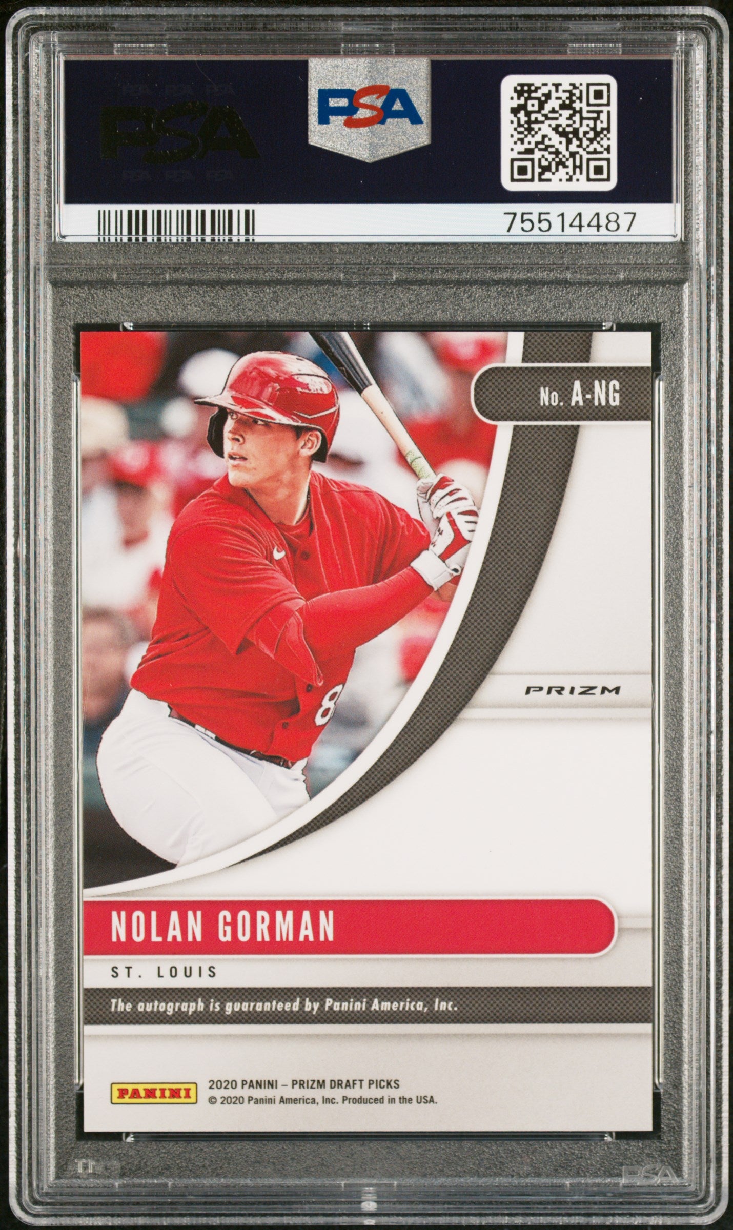 2020 Panini Prizm Draft Picks Autographs Nolan Gorman #A-NG Auto PSA 10