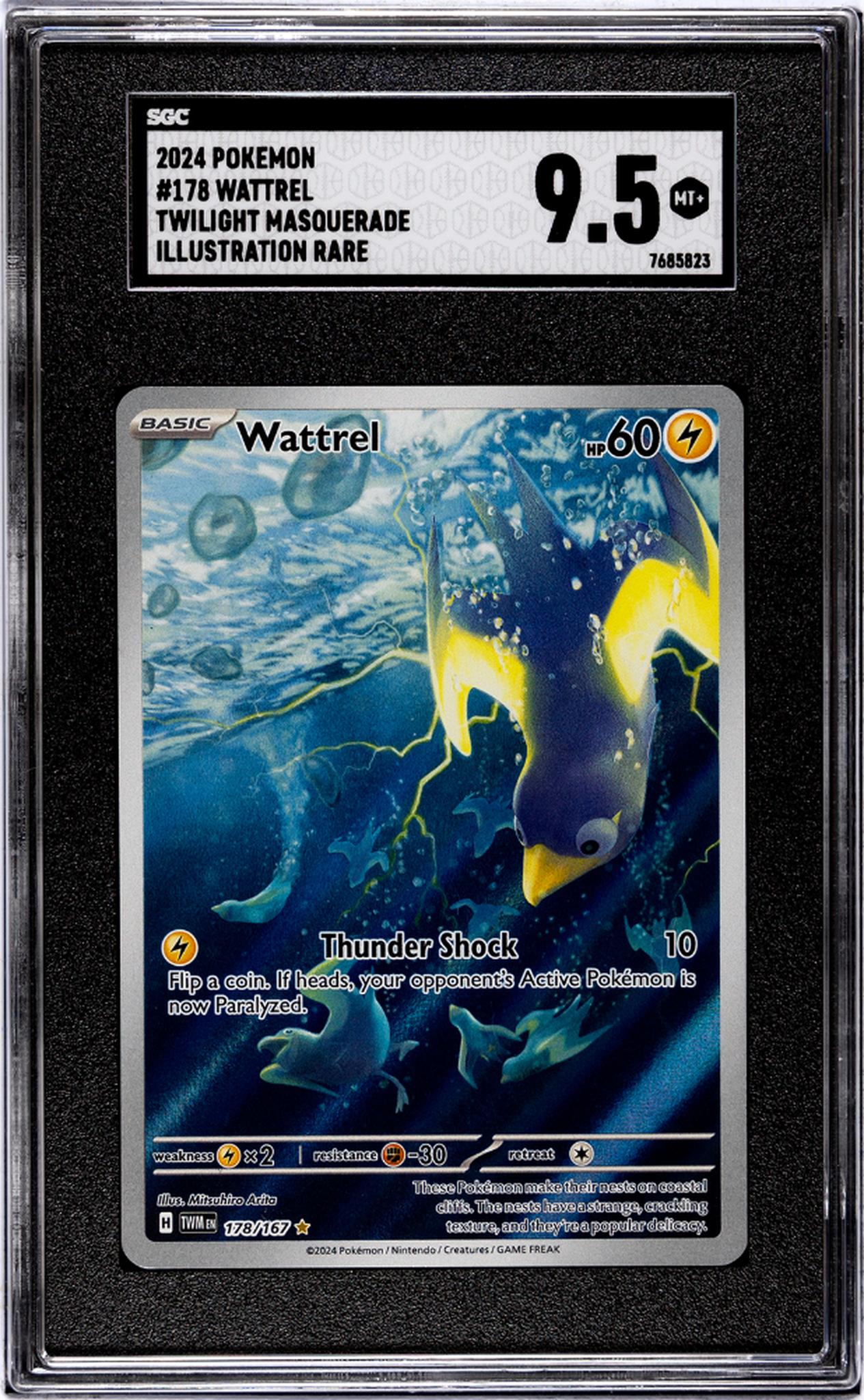 2024 Nintendo Pokemon #178/167 Wattrel Illustration SGC 9.5