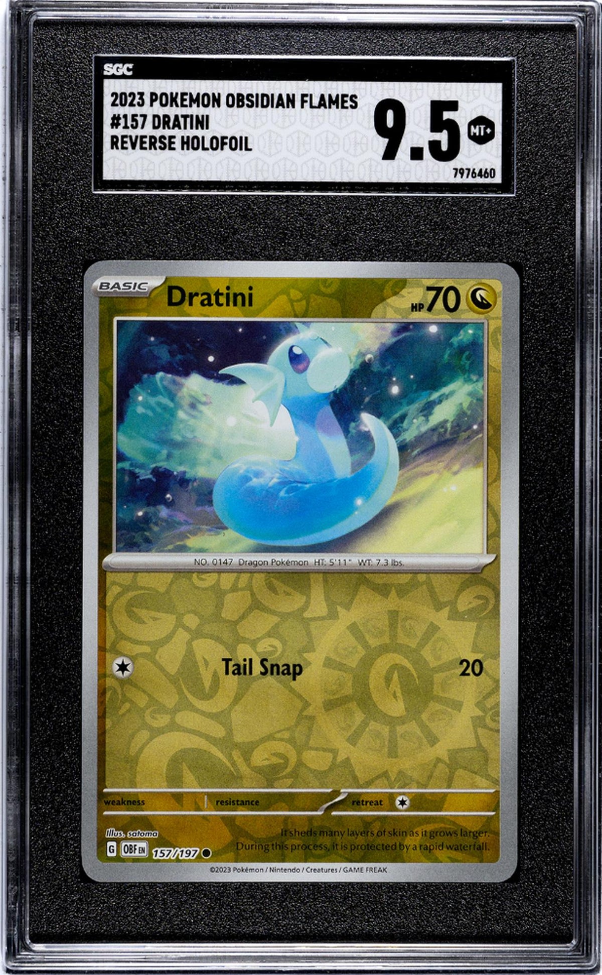 2023 Pokémon Scarlet & Violet Obsidian Flames Dratini #157/197 SGC 9.5
