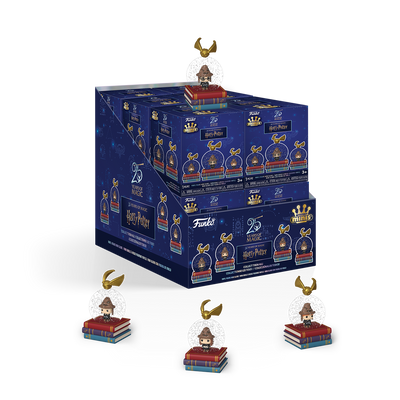 Funko Enhanced Mini: Harry Potter - Character with Sorting Hat Glitter Globe