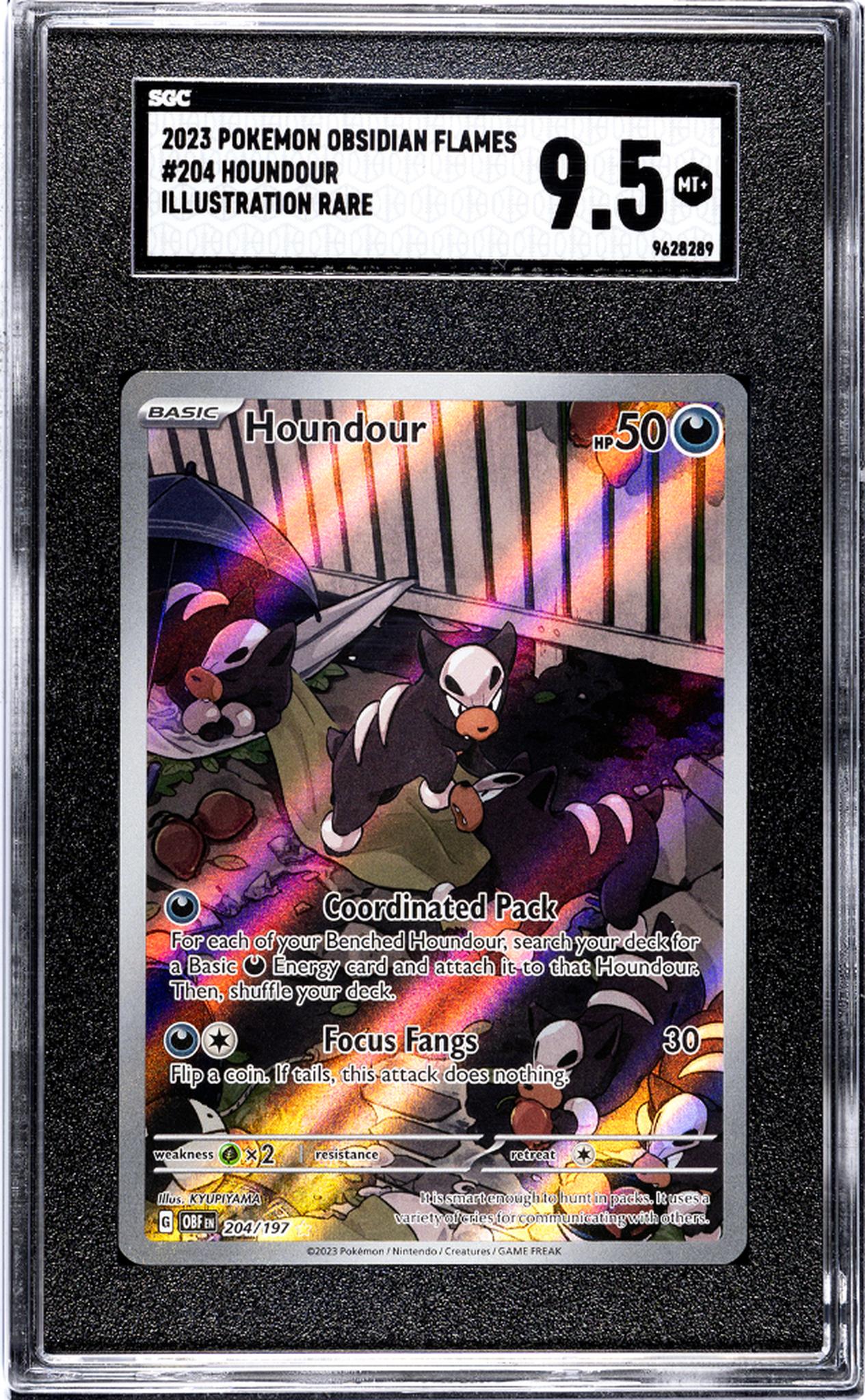 2023 Pokemon Obsidian Flames Illustration Rare Houndour #204/197 SGC 9.5