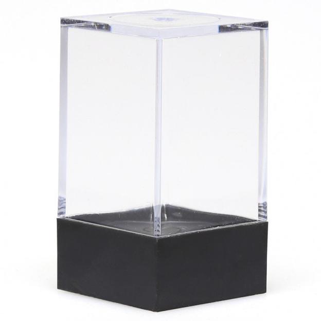 Chessex: Plastic Display Box (Small)