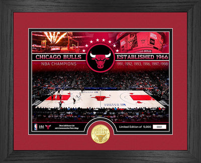 Highland Mint Chicago Bulls Bronze Coin Court Photo Mint - Limited Edition /5,000