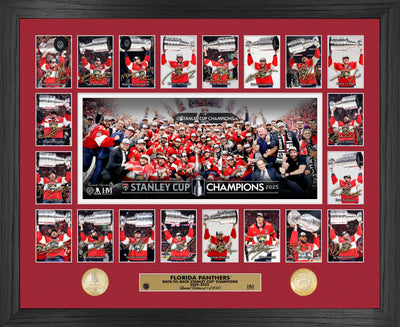 Highland Mint Florida Panthers 2025 Stanley Cup Champions Bronze Coin Photo Mint - Limited Edition /2025
